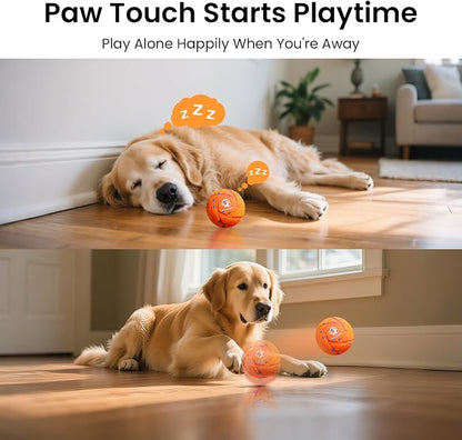 Smart Interactive Dog Ball - Image 6