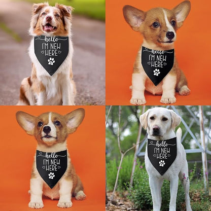 Hello I'm New Here Dog Bandana New Puppy Announcement Gift - Image 4