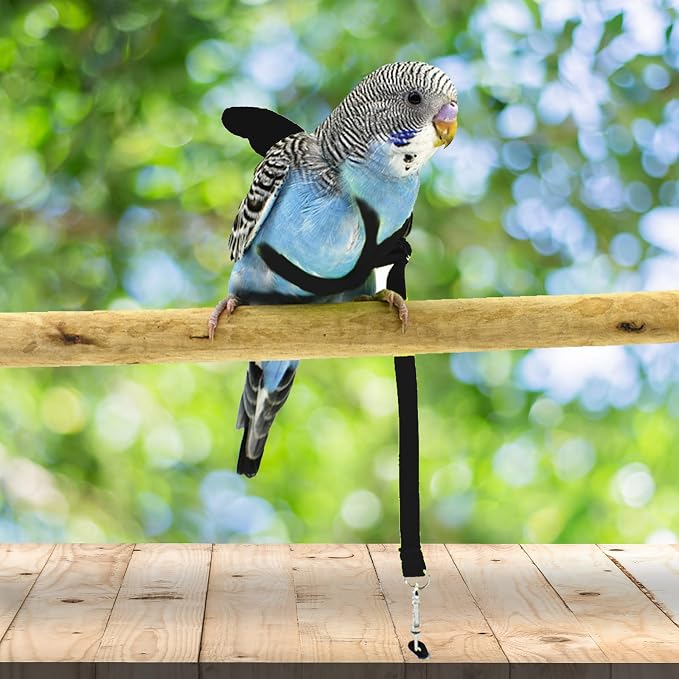 Dnoifne Pet Parrot Bird Harness and Leash, Adjustable Training Design Anti-Bite - Image 2