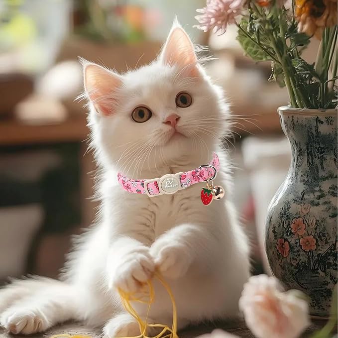 2 Pack Strawberry Cat Collars - Image 5