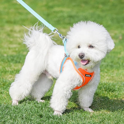 AIITLE No Pull Dog Harness and Leash Set, Step in Adjustable Dog Harness - Image 3