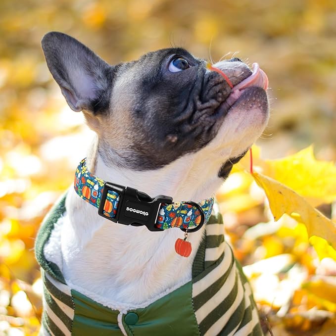 DOGWONG Fall Pumpkin Dog Collar, Fall Maple Leaf Dog Collars Adjustable - Image 4