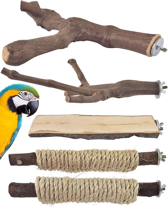 Bissap 5PCS Large Bird Perch Stand, Natural Wood Pole Standing Paw Grinding by Bissap