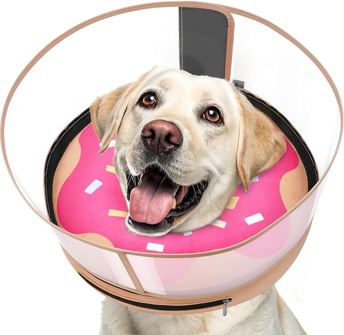 Inflatable Dog Cone with Transparent Shield, Protective Dog Donut Collar After by Didopet
