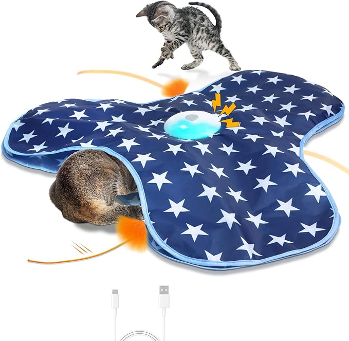 Interactive Cat Toy Rechargeable, Cat Exercise Toys by Sofolor