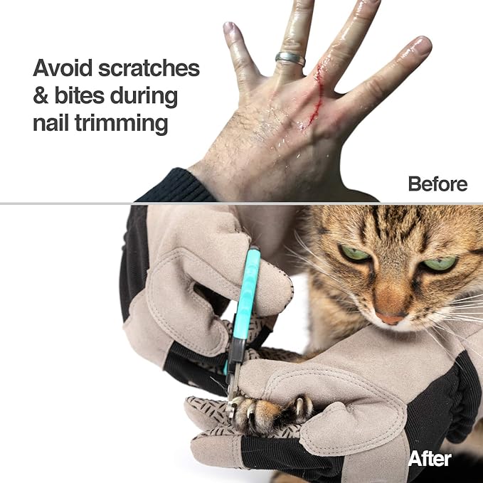 PetFusion Multipurpose Pet Glove - Image 3
