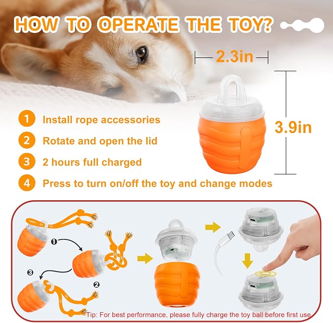 Interactive Dog Toy, Motion Activated Rolling Squeaky Ball - Image 5