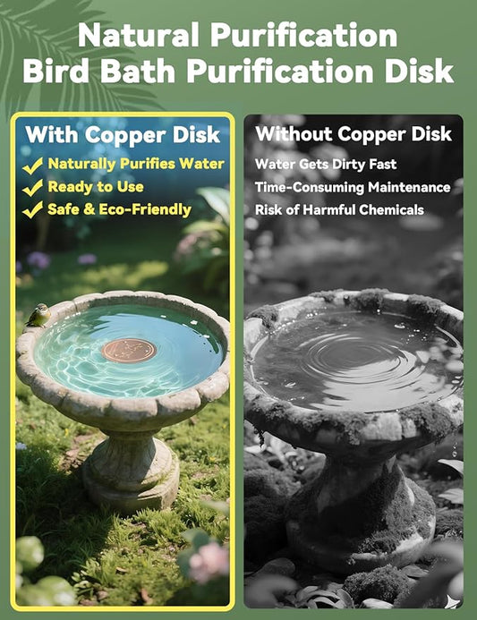CNARIO Copper Disk for Bird Baths, Bird Baths 99.99% Pure Copper Cleaning Disk - Image 2