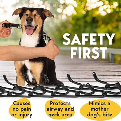 PetJett Prong Collar for Dogs - Image 3