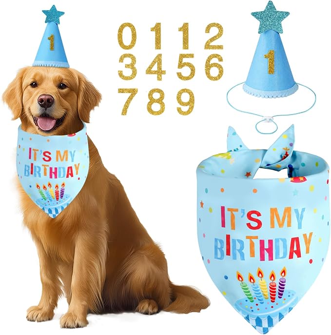 Dog Birthday Party Supplies - Image 2