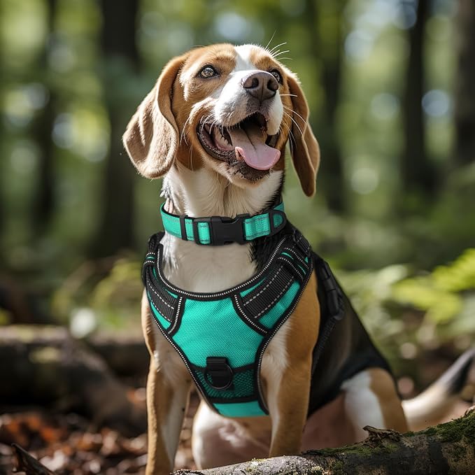 Joytale Reflective Dog Collar, Soft Neoprene Padded, Metal D-Ring, Nylon Pet - Image 2