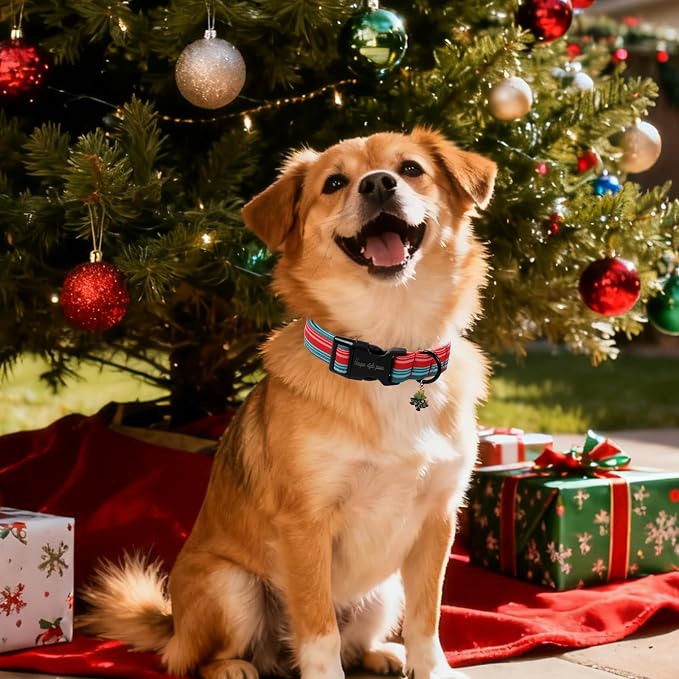 Christmas Dog Collar, Unique Style Paws Red Green Strips Dog Collar - Image 5