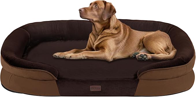Dwanton Orthopedic Dog Bed for Extra Large Dogs by DWANTON