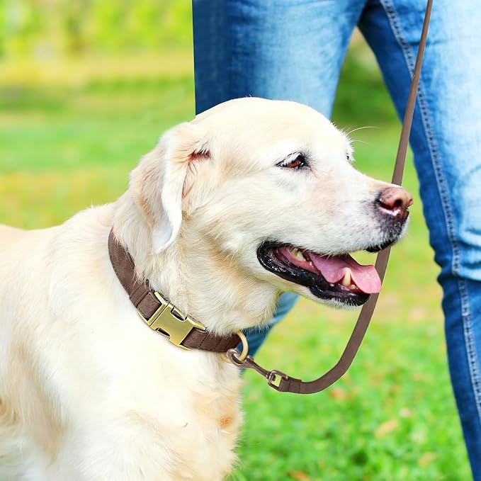 Genuine Leather Dog Collar - Image 3