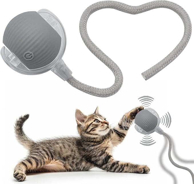 Interactive Cat Dog Toy Ball: Indoor Small Automatic Moving Smart Rolling Fun by AEBDERP