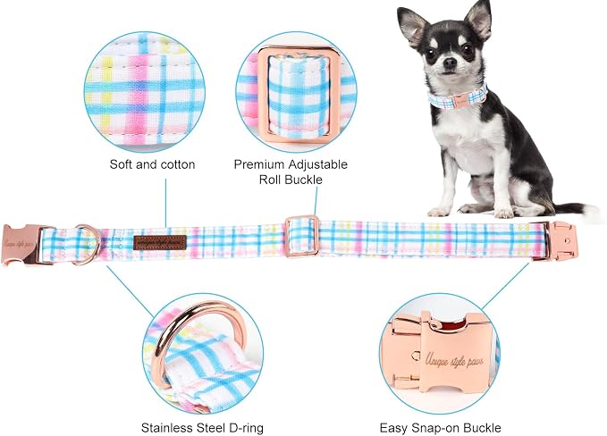 Unique Style Paws Dog Collar - Image 2