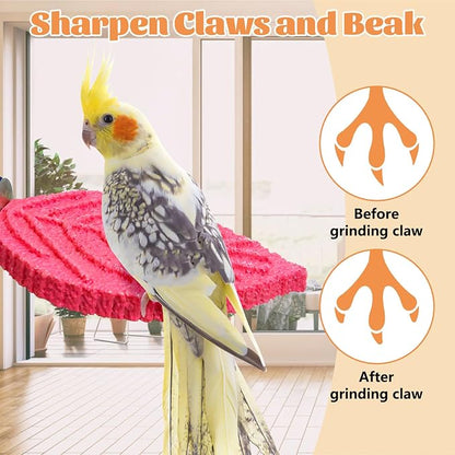 3 Pcs Bird Perch Resin Bird Beak Grinding Stone Leaf Shape Perch Stand Foot - Image 5