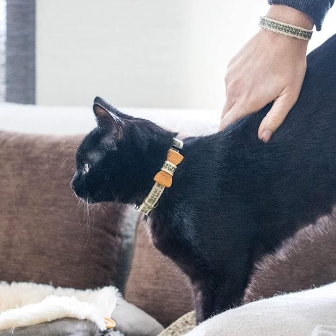 Pettsie Breakaway Cat Collar - Image 2