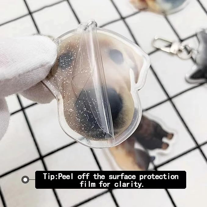 Custom Acrylic pet Keychain - Image 9