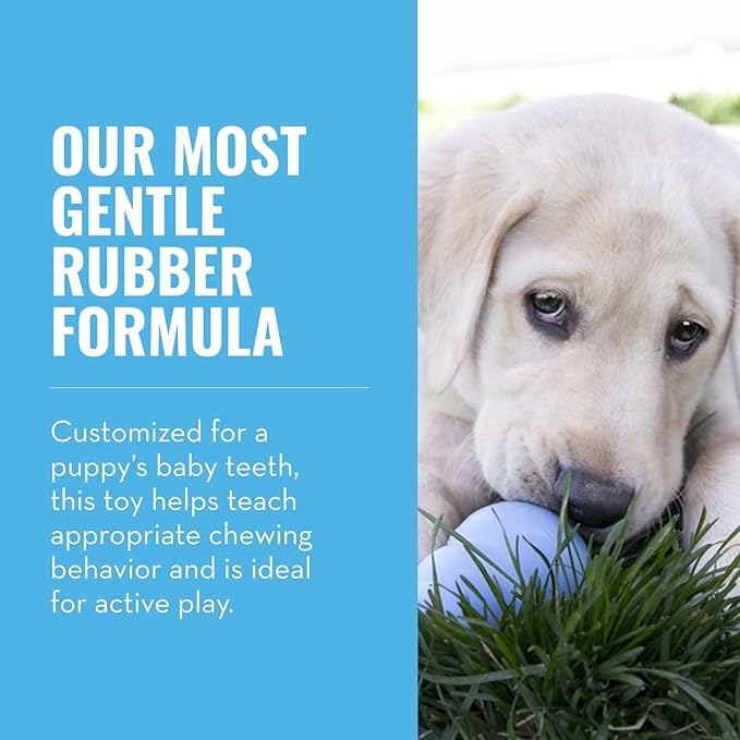 KONG Puppy - Natural Teething Rubber Chew Toy - Image 3