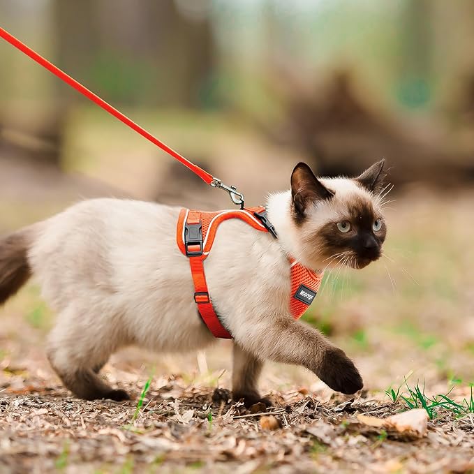 Cat Harness and Leash for Walking Escape Proof Soft Adjustable Cat Leash - Image 5