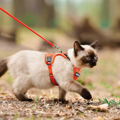 Cat Harness and Leash for Walking Escape Proof Soft Adjustable Cat Leash - Image 5