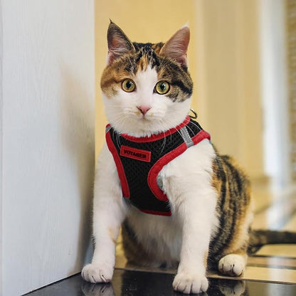 Best Pet Supplies Voyager Step-in Air All Weather Mesh Harness and Reflective - Image 8