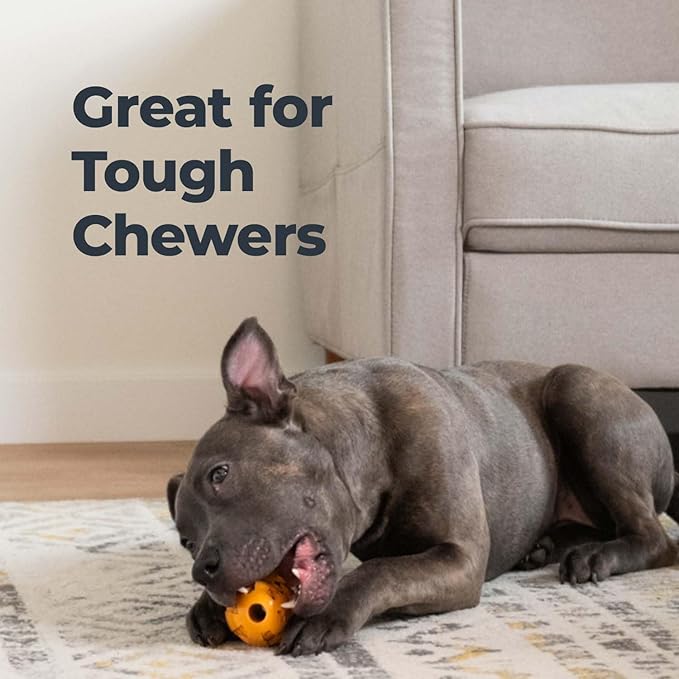 Oxyfresh Dog Dental Chew Toy - Image 5