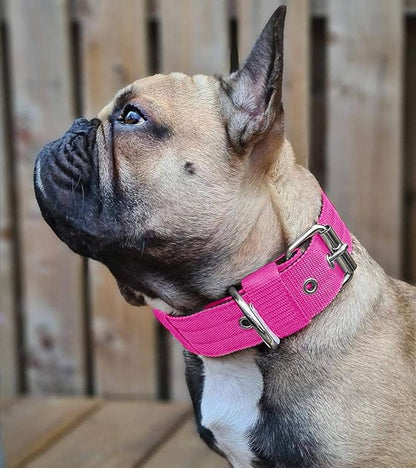 Heavy Duty Tactical Dog Collar - Image 7