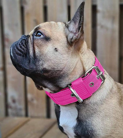 Heavy Duty Tactical Dog Collar - Image 7