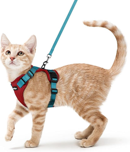 rabbitgoo Cat Harness and Leash by rabbitgoo
