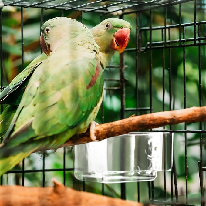 LemonRoad 4 Pcs Bird Cage Feeder Food Water Feeder - Image 5