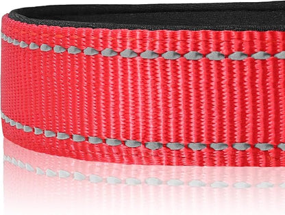 Joytale Reflective Dog Collar, Soft Neoprene Padded Breathable Nylon Pet Collar - Image 4