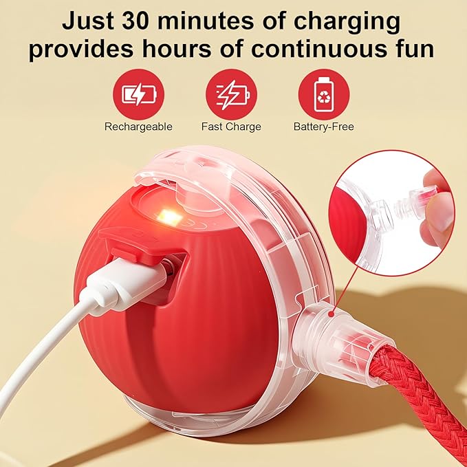 Interactive Electric Automatic Rolling Moving USB Rechargeable Self Activated - Image 4