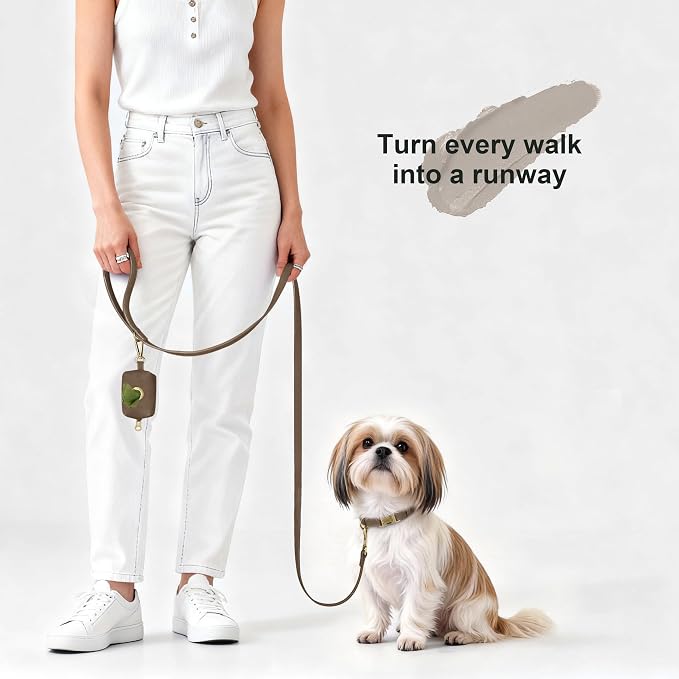 Didog Soft PU Leather Dog Collar, Stylish Quick Released Dog Collars - Image 4