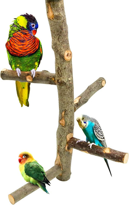 Bird Perch Nature Apple Hard Wood Stand, Parrot Stand Toy Branch Platform Paw - Image 6