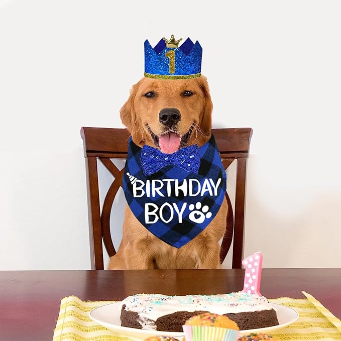 STMK Dog Birthday Party Supplies - Image 7