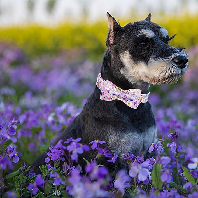 Elegant little tail Dog Collar, Rose Print Pet Collar Summer Dog Collar Durable - Image 5