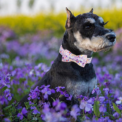 Elegant little tail Dog Collar, Rose Print Pet Collar Summer Dog Collar Durable - Image 5