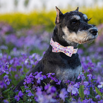 Elegant little tail Dog Collar, Rose Print Pet Collar Summer Dog Collar Durable - Image 5