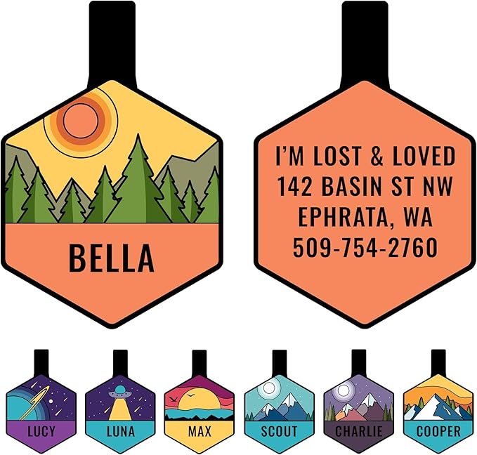 GoTags Silent Dog Tag, Personalized Engraved Hexagon Silicone Dog and Cat Name by GoTags
