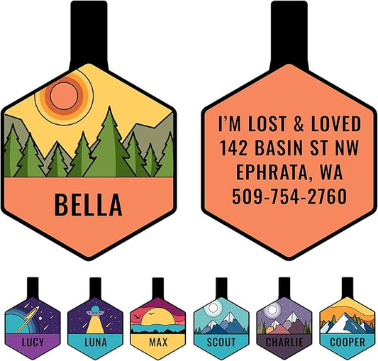GoTags Silent Dog Tag, Personalized Engraved Hexagon Silicone Dog and Cat Name by GoTags