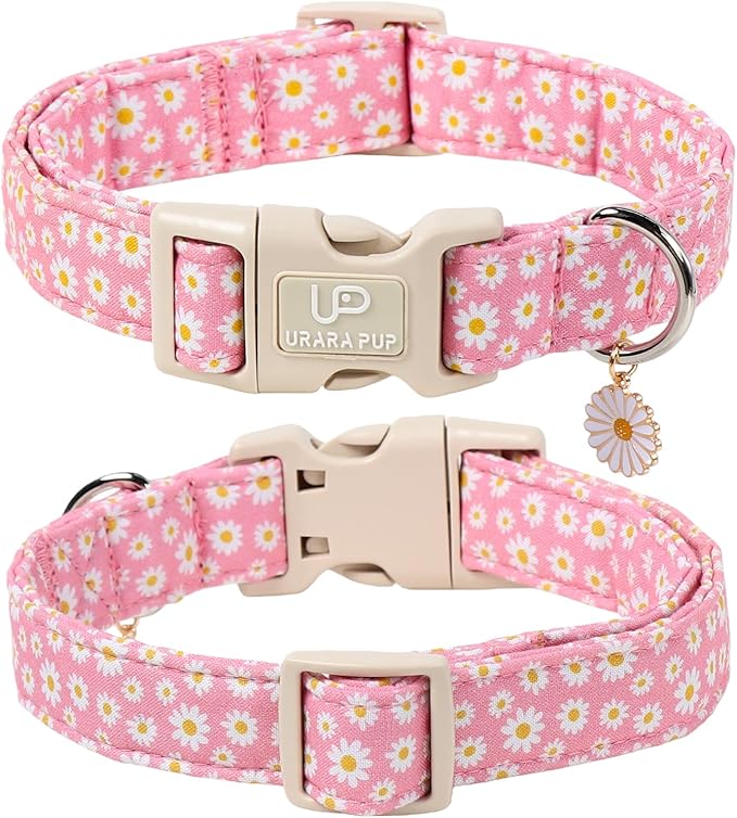 Daisy Dog Collar, Summer Cotton Dog Collar - Image 2