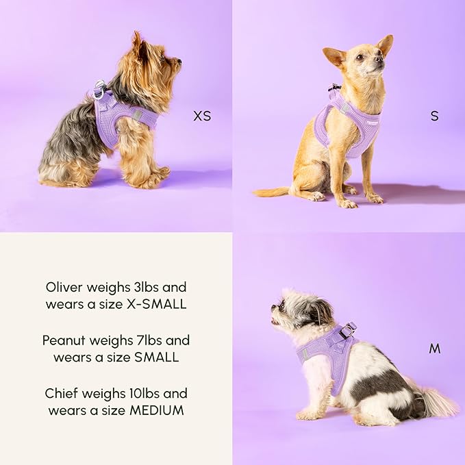 Downtown Pet Supply Step in Dog Harness - Image 6