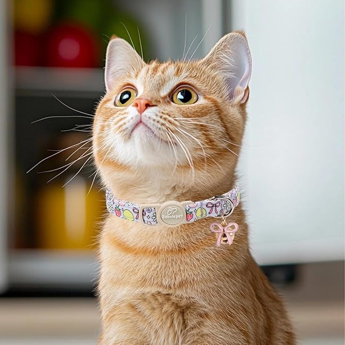 2 Pack Sweet Girly Cat Collars - Image 5