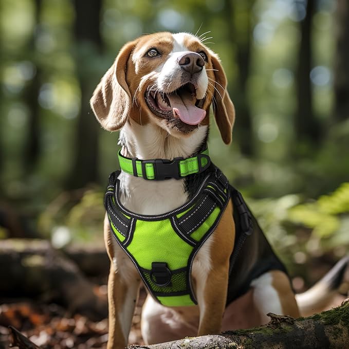 Joytale Reflective Dog Collar, Soft Neoprene Padded, Metal D-Ring, Nylon Pet - Image 2