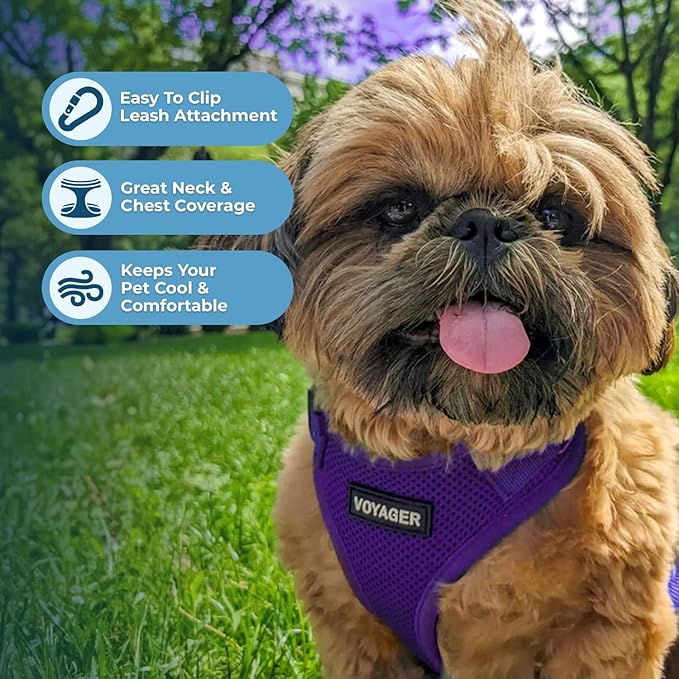 Voyager Step-in Pet Harness - Image 3