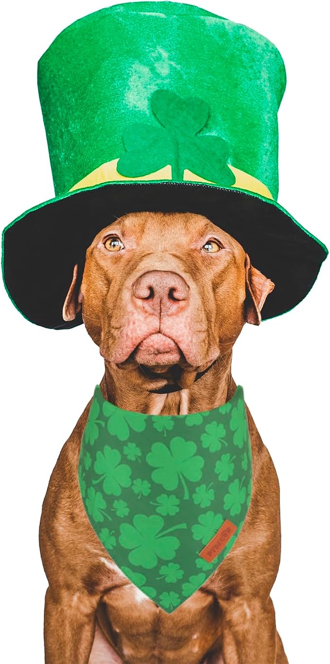 PTDECOR St. Patrick's Day Dog Bandana, Reversible Dog Scarf - Image 3