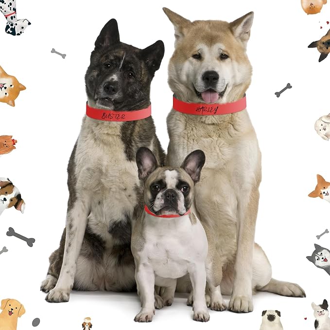 500 Count 20inch Adjustable Paper Dog Collars - Image 5