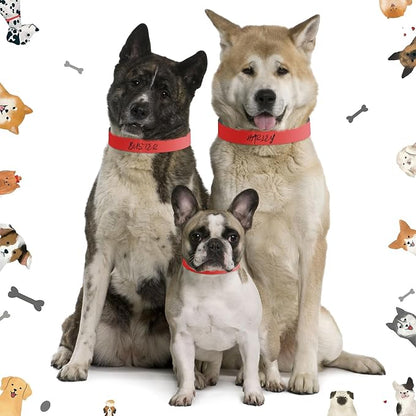 500 Count 20inch Adjustable Paper Dog Collars - Image 5